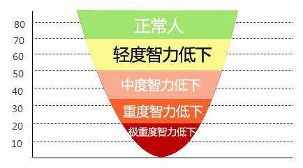 精神发育迟滞病因,智力低下病因